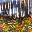 Forest & Somewhere Outside
