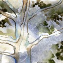 Tree Fading