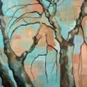 Winter Sunlight