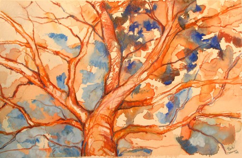 Orange Tree