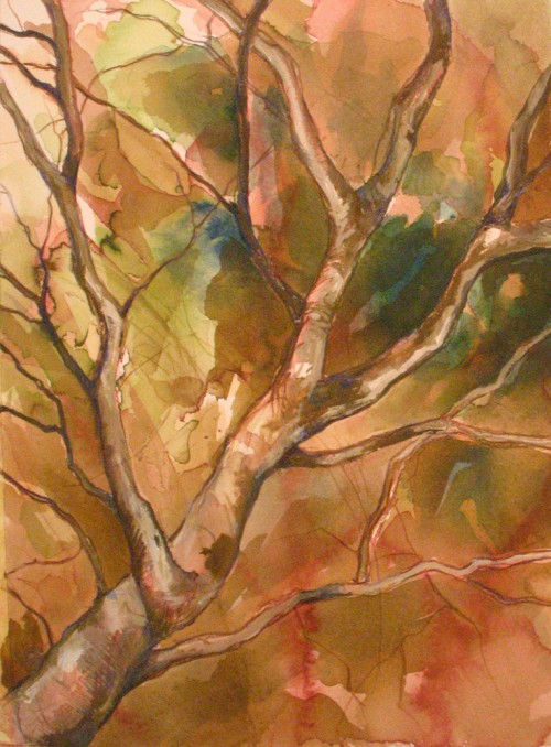 Tree Splash