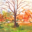 Condemned Tree