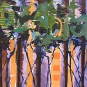 Forest Entity