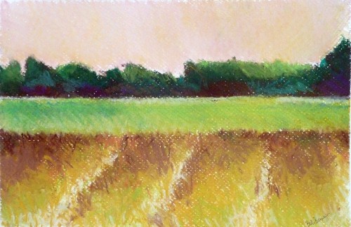 Chromascape 107