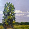 The Tree