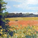 Chromascape 125 Pink and Yellow Fields