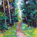 Forest Path