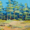 Blues of Forest
