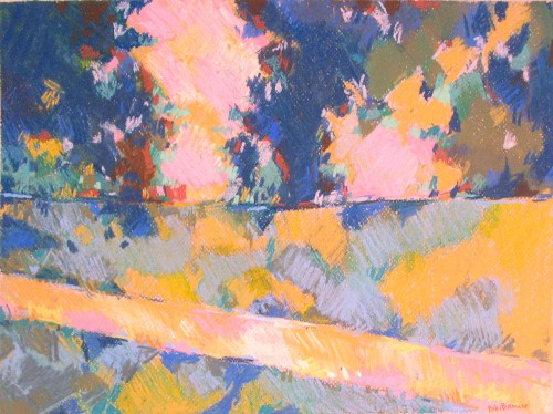 Chromascape 8