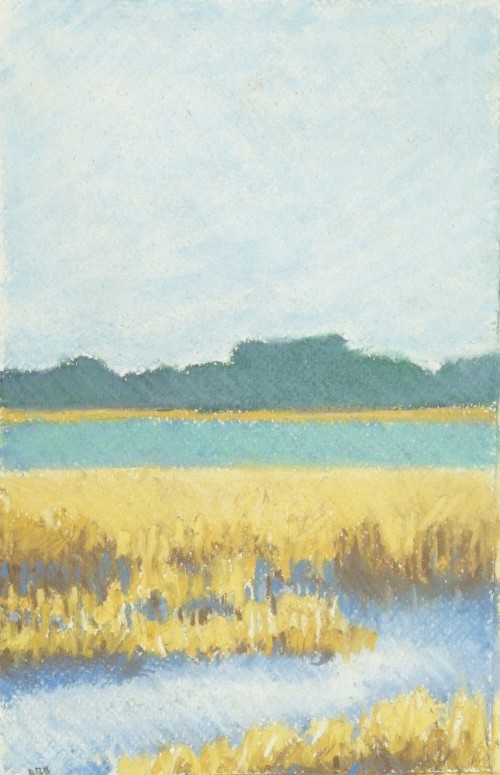 Chromascape 95
