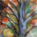Forest Space 15