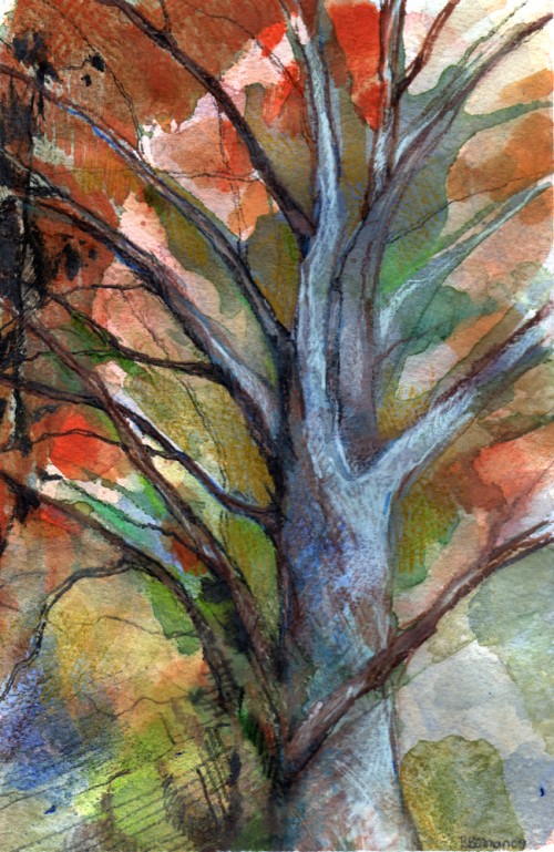 Forest Space 15