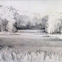 The Pond