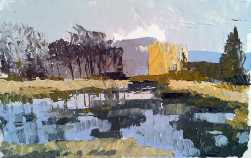 Pond Study Excerpt