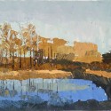 Pond Study 15