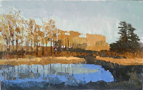 Pond Study 15