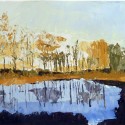 Pond Study 16