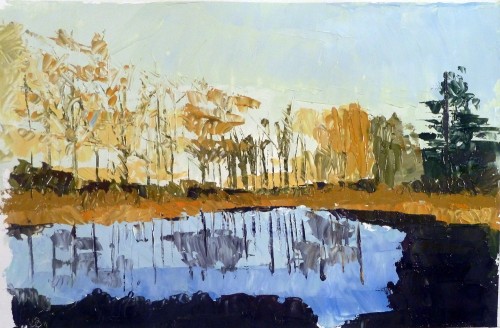 Pond Study 16