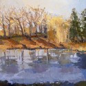 Pond Study 17