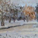 The Pond Study Continues