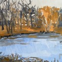 Pond Study 27