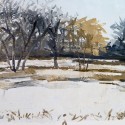 Pond Study 28