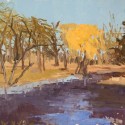 Pond Study 29