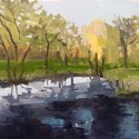 Pond Study 30
