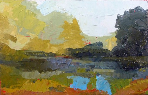 Pond Study 7