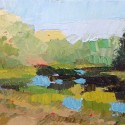 Pond Study 8