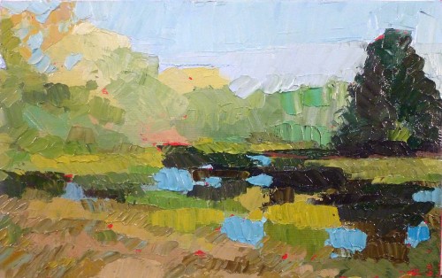 Pond Study 8