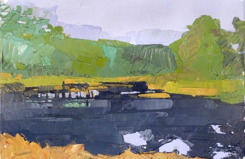 Pond Study 9