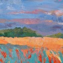 Rainbow Fields