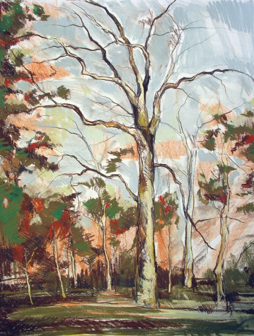 Tree Drawing 11