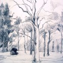 Tree Drawing 13