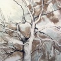Tree Drawing 14