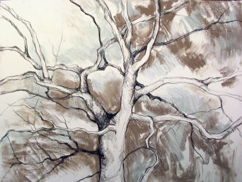 Tree Drawing 14