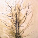 Tree Drawing 17