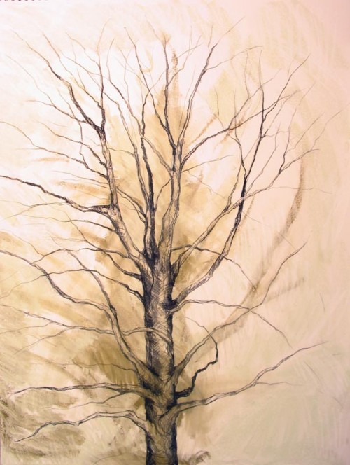 Tree Drawing 17