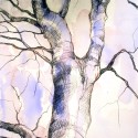 Tree Drawing 19