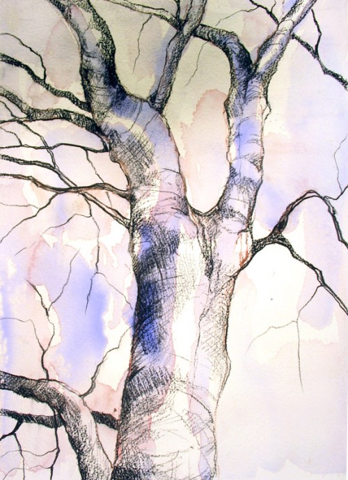 Tree Drawing 19