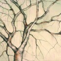 Tree Drawing 21