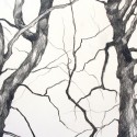 Tree Drawing 5