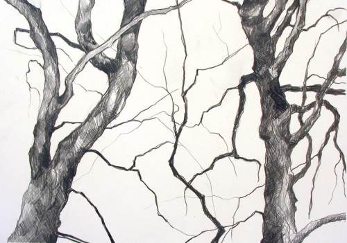 Tree Drawing 5