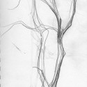 Tree Gesture 1