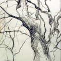 Tree Gesture 12