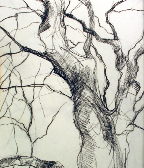 Tree Gesture 12