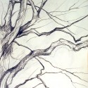 Tree Gesture 14