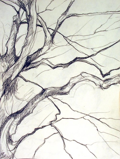 Tree Gesture 14