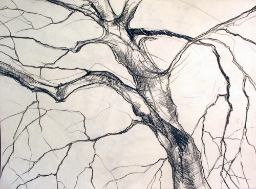 Tree Gesture 15